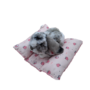 Liegepolster XL